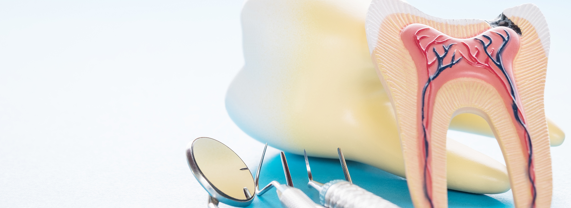 Wellwood Family Dentistry | Same Day Repairs, Night Guards and Adult Orthodontics